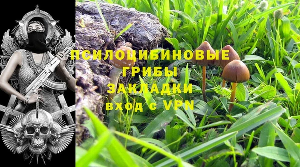 бошки Лагань