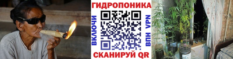 мега онион  купить  цена  Сусуман  Бошки Шишки Ganja 